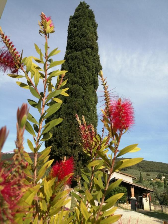 Borgo Buciardella Villa Baschi ภายนอก รูปภาพ