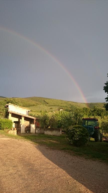 Borgo Buciardella Villa Baschi ภายนอก รูปภาพ