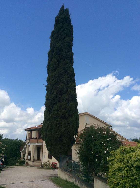 Borgo Buciardella Villa Baschi ภายนอก รูปภาพ