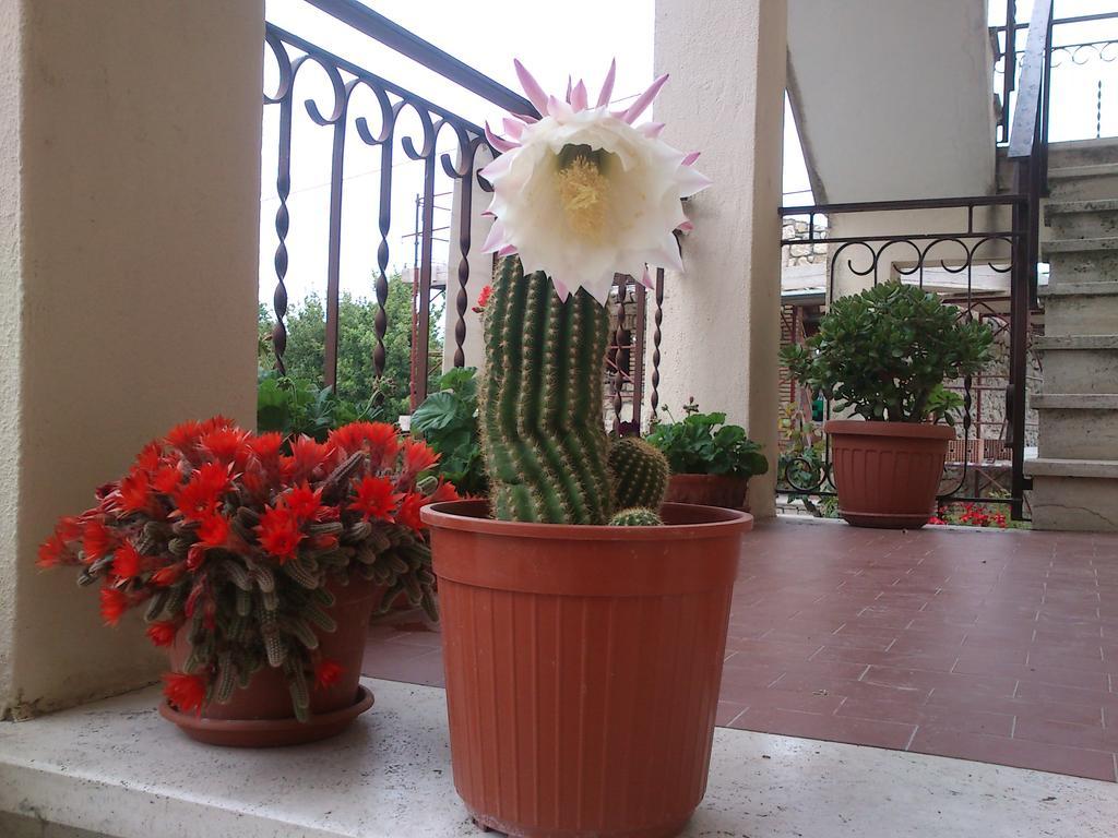 Borgo Buciardella Villa Baschi ภายนอก รูปภาพ