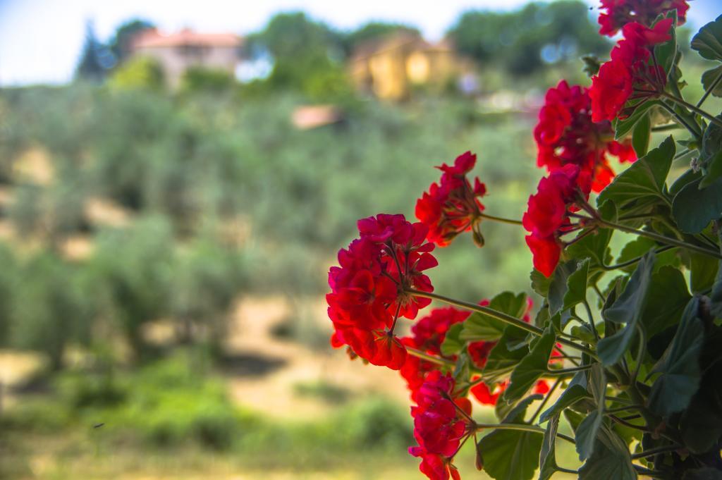 Borgo Buciardella Villa Baschi ภายนอก รูปภาพ